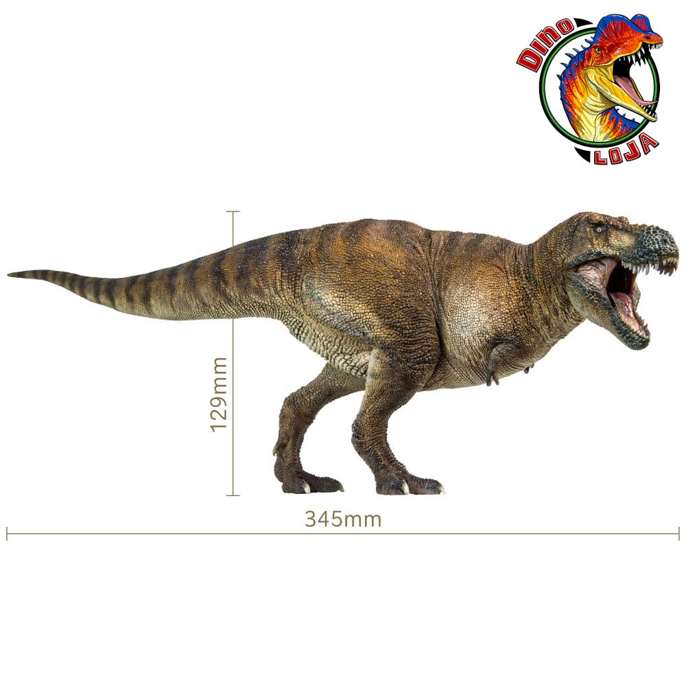 TIRANOSSAURO REX PAPO MARROM MINIATURA BRINQUEDO DE DINOSSAURO T