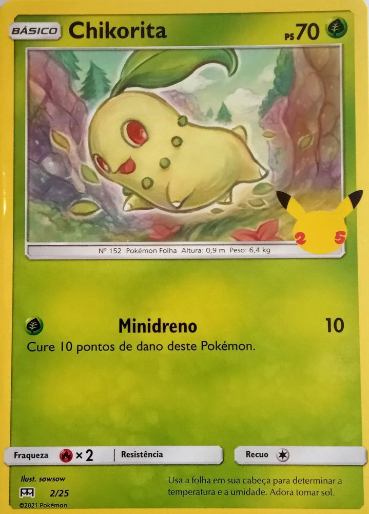 Desenhos de Pokémon Chicorita - Como desenhar Pokémon Chicorita