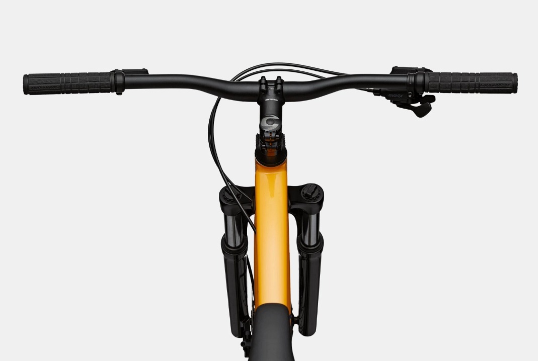 CANNONDALE TRAIL 5 SUB TMD R29 V10 AMA C22 - Fat Bike Floripa
