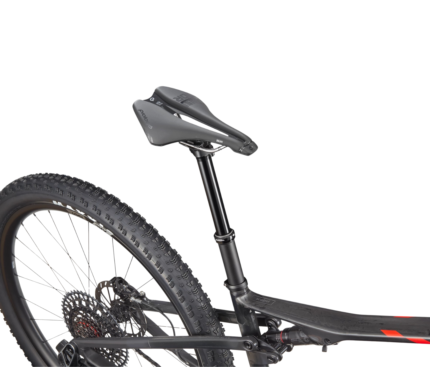 Bicicleta Cannondale Scalpel 1 Lefty | Carbono - Fat Bike Floripa