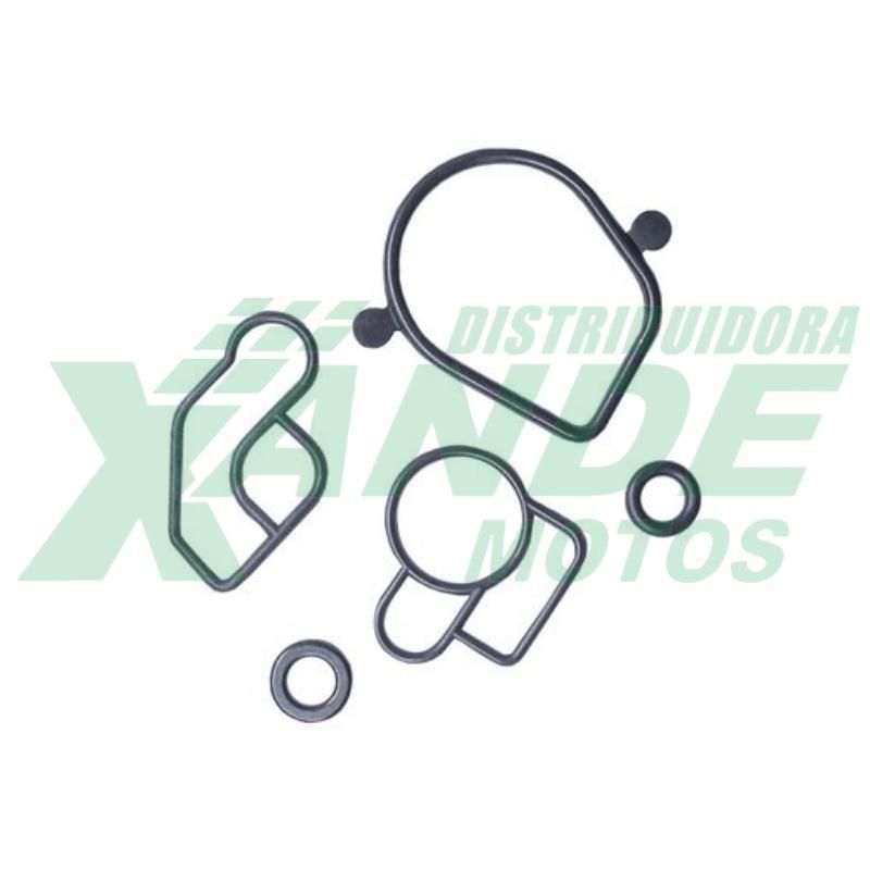 REPARO KIT INJECAO ELETRONICA TITAN 160 / FAN 160 / PCX 150 (5 PCS
