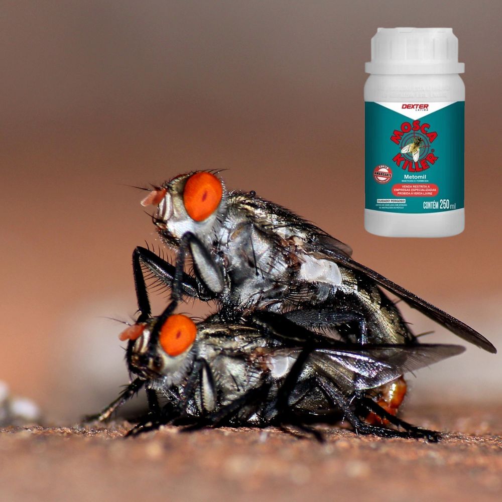 Mosca Killer 250ml - Mata Mosca Mosquicida rápido - Sens Agropet ...