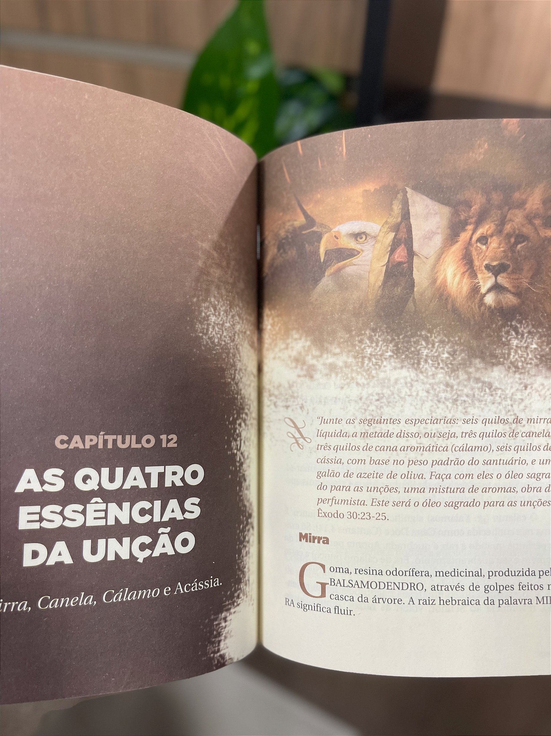 Livro Os 4 Níveis da Unção - Joel Engel - geracaojubilar, image size:1874x2500