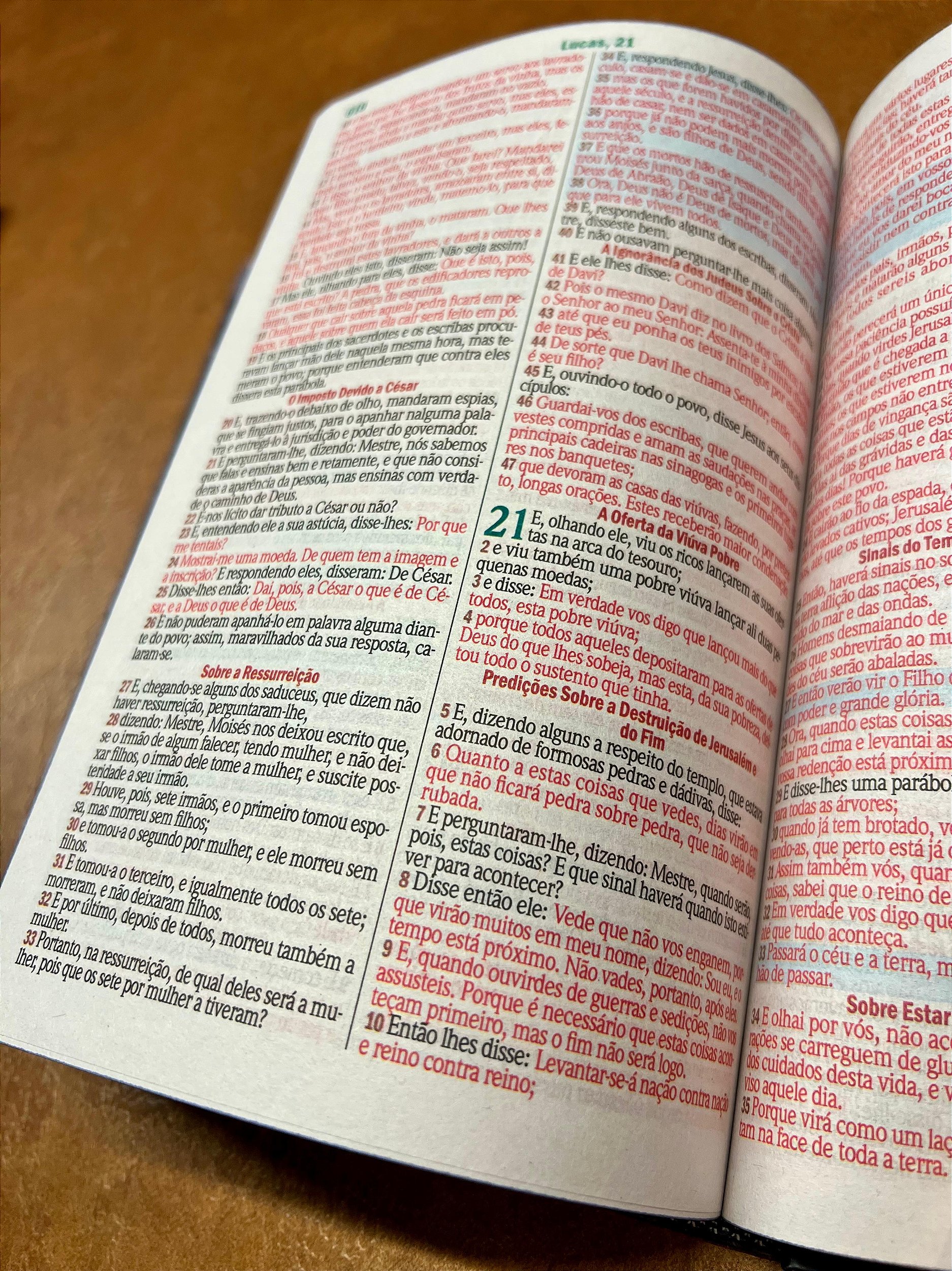 Bíblia Sagrada Leão Rei Dos Reis: Harpa Cristã - Letra Normal Capa Dura -  ACR - geracaojubilar, image size:1874x2500