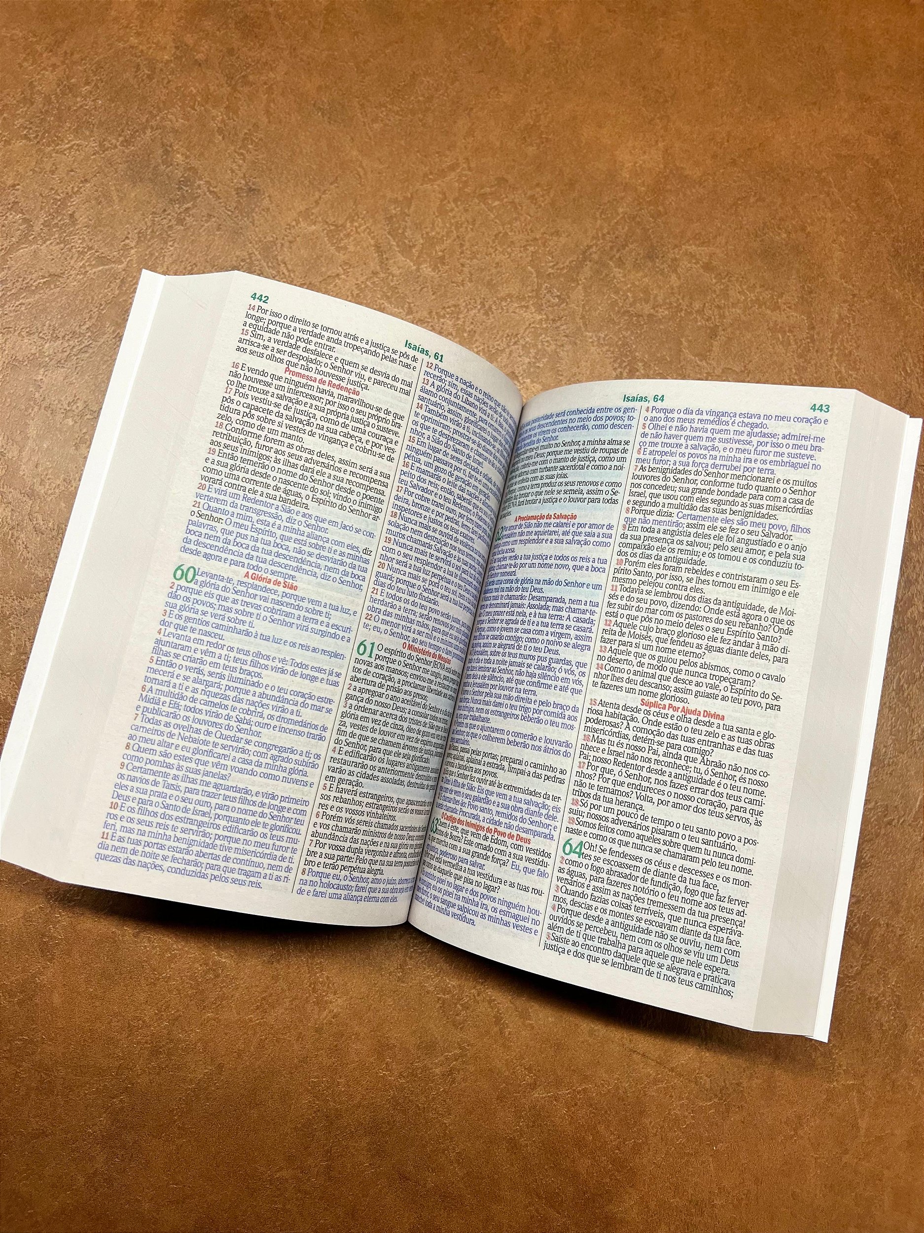 Bíblia Sagrada | Jesus Preta | Letra Grande | ARC - geracaojubilar, image size:1874x2500