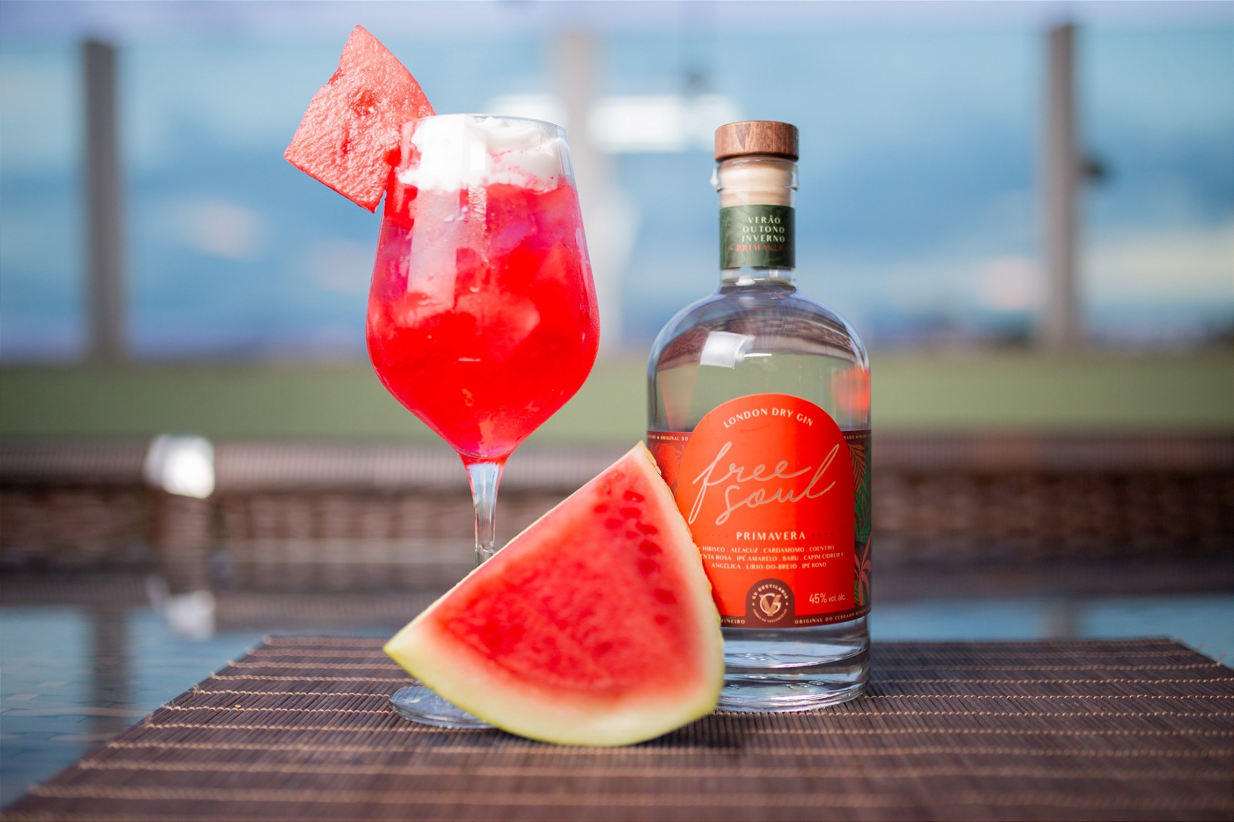 Gin Free Soul Primavera – 750 ml - Bebidas BH Delivery - ZapVendas (31 ...