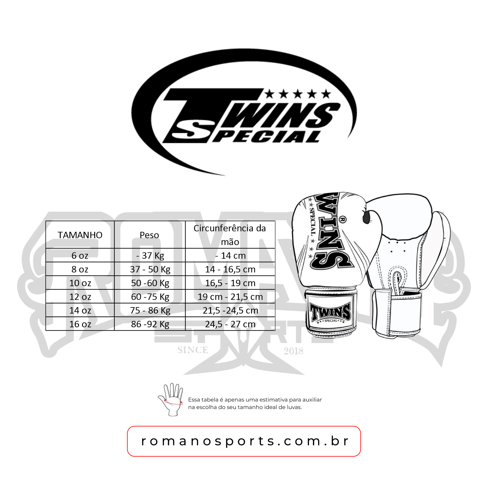 Luvas de Muay Thai Boxe Twins Special 