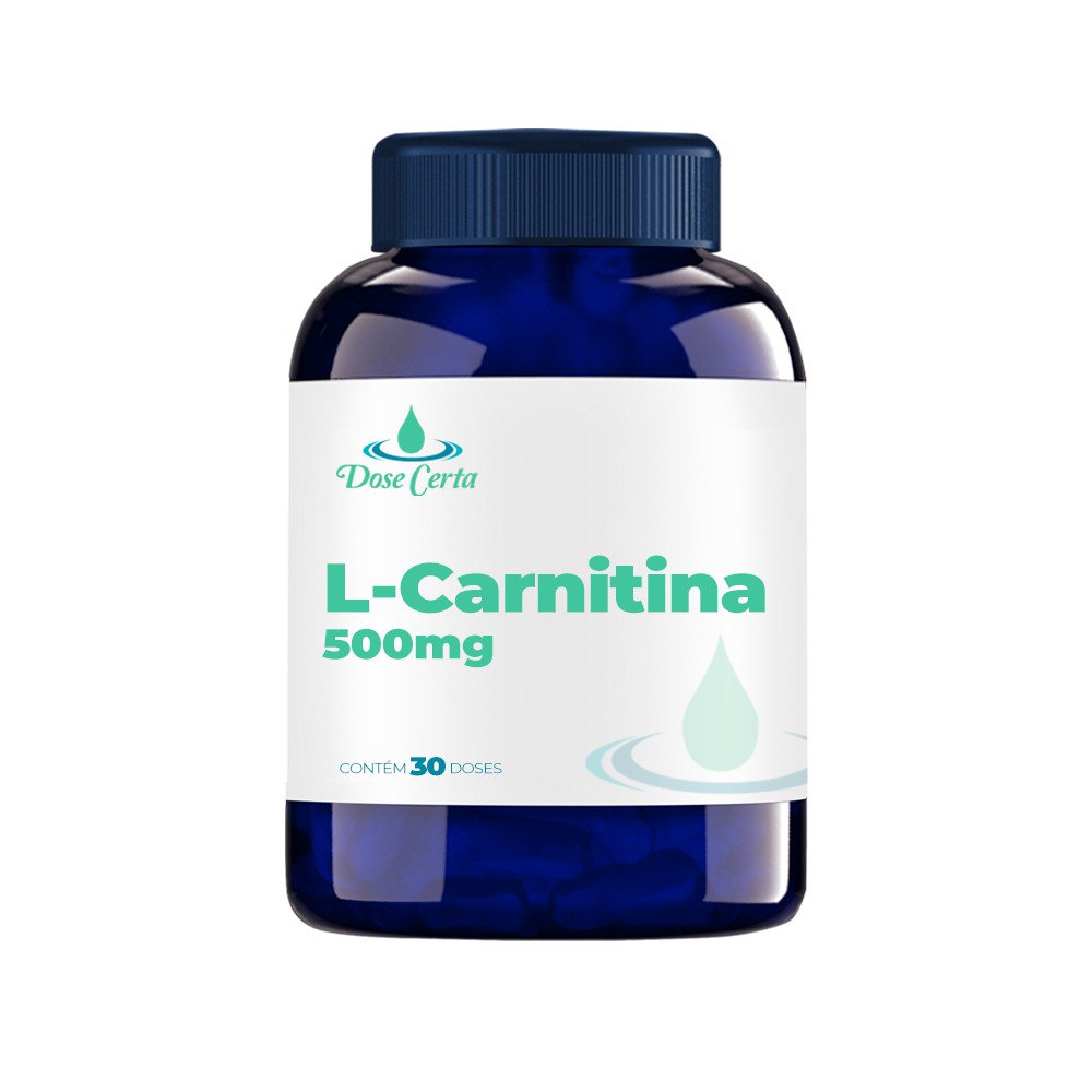 can i take acetyl l carnitine while pregnant Acetyl L Carnitine