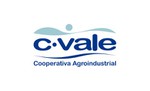 C VALE