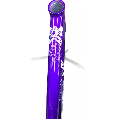 Quadro Bike Bicicleta BMX Wheeling Grau GIOS FRX-EVO 26X13,5 Roxo