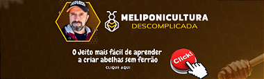 Meliponicultura Descomplicada — curso recomendado pela ASF Caixas