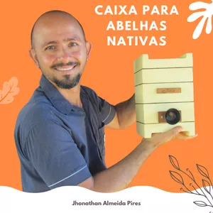 Capa oficial do curso Caixa para Abelha