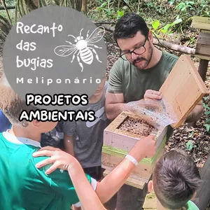 Capa oficial do curso Projetos Ambientais com Abelhas Nativas sem Ferrão