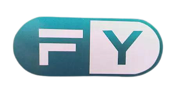 FY