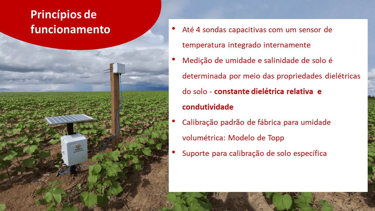 Slide 11