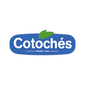 Cotoches
