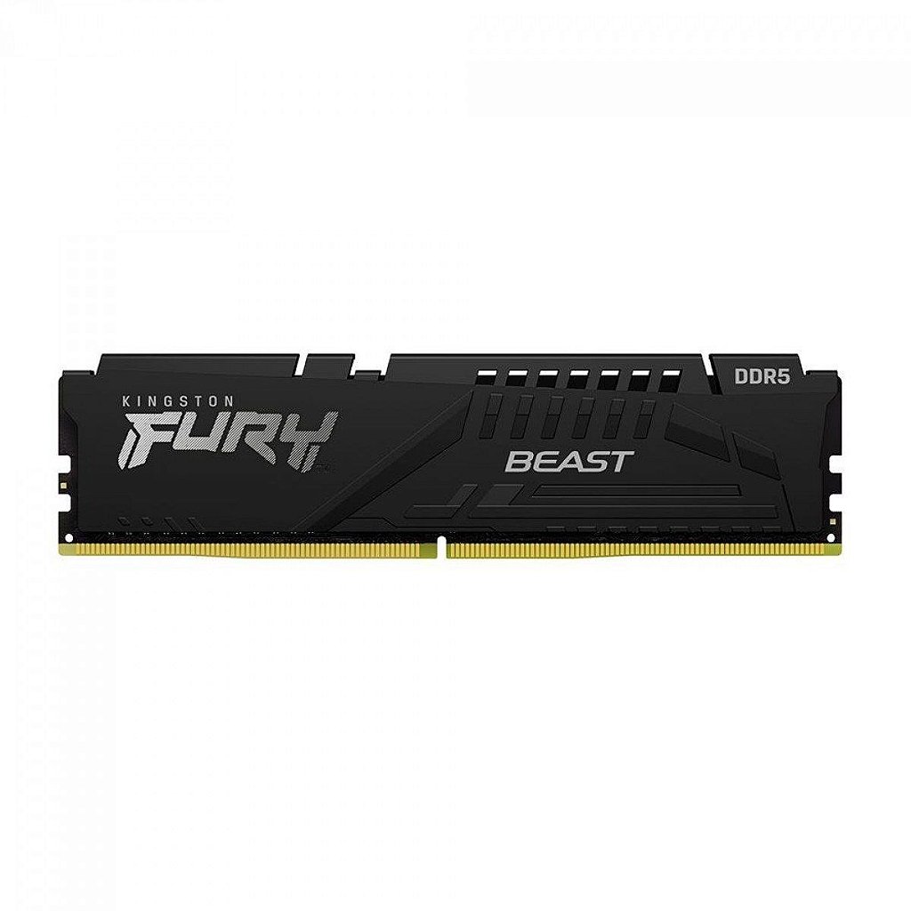 Fury Beast Black