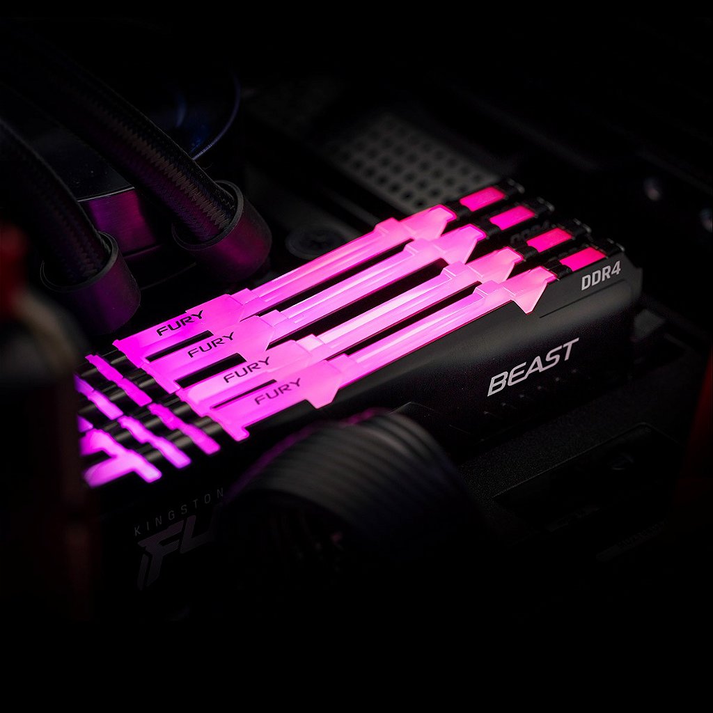 Fury Beast