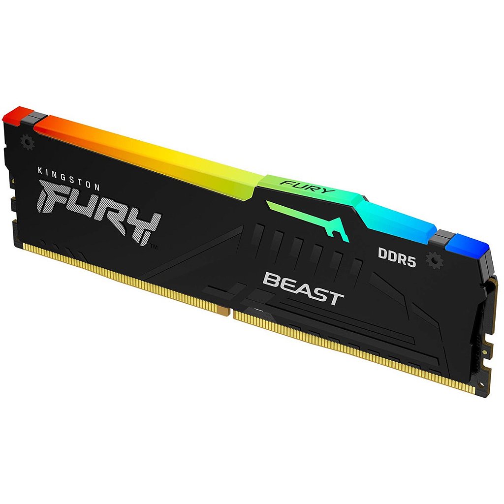 Fury Beast