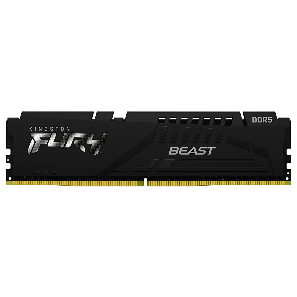 Fury Beast 8GB DDR5