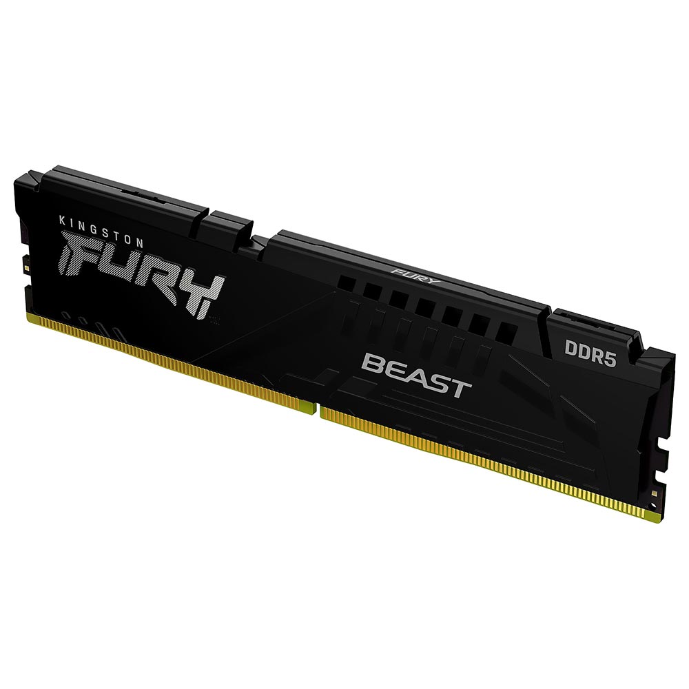 Fury Beast