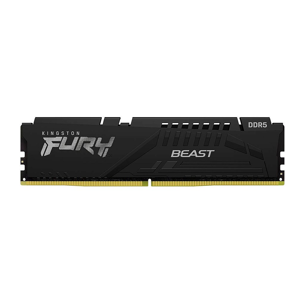 Fury Beast Black 16GB DDR5