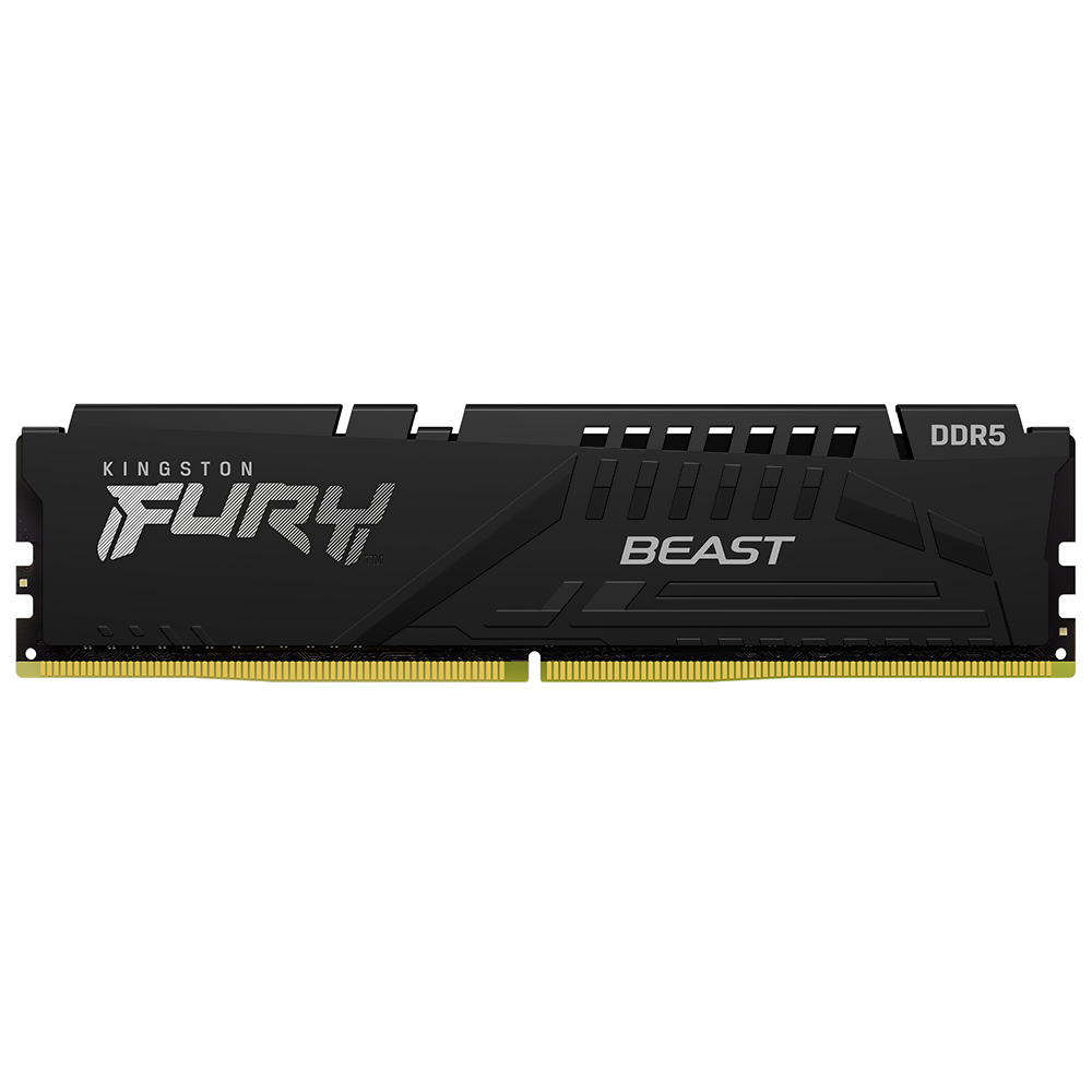 Fury Beast