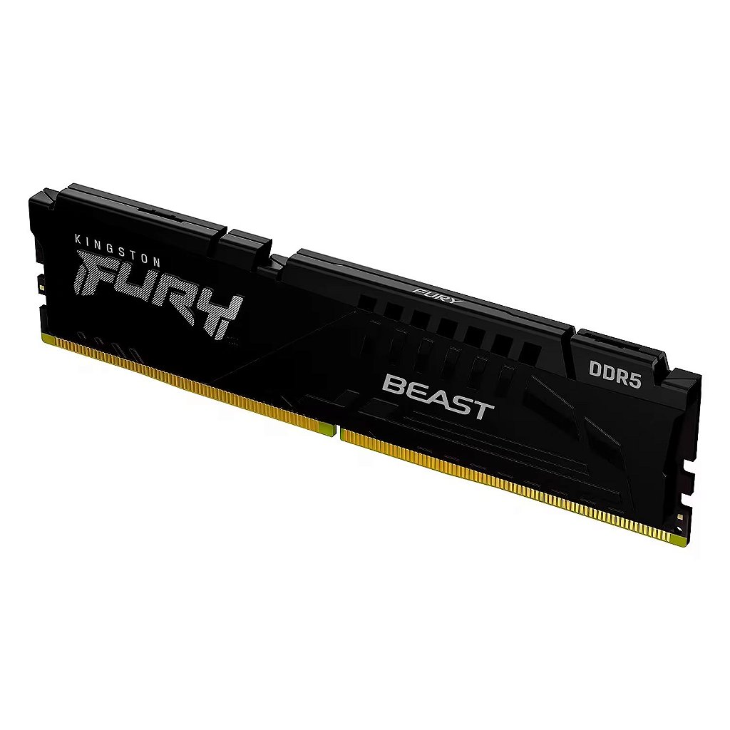Fury Beast