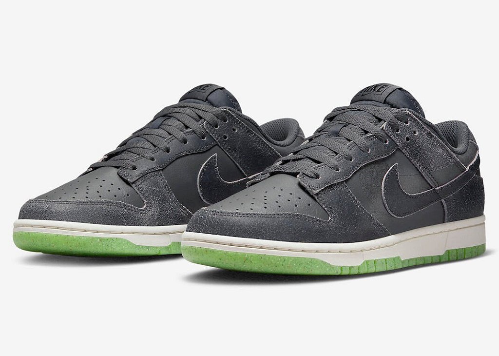 NIKE - Dunk Low Retro PRM 