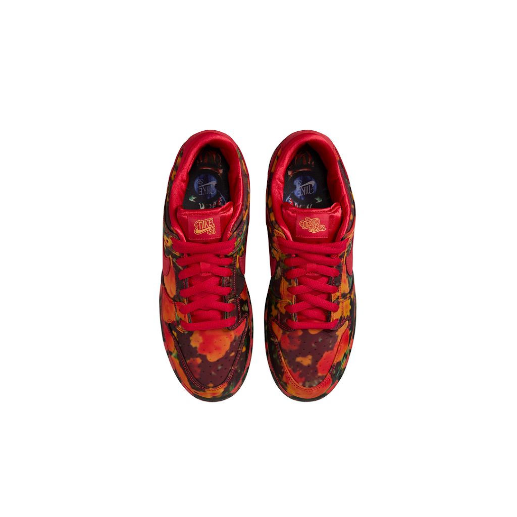 NIKE x THE WIZARD OF OZ - SB Dunk Low Pro 