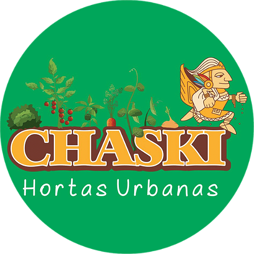 Muda de Café Conilon - Chaski Hortas Urbanas