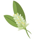 Logo de Perfect Flavor