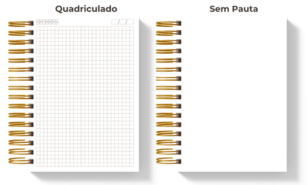 Modelo 2 de pauta