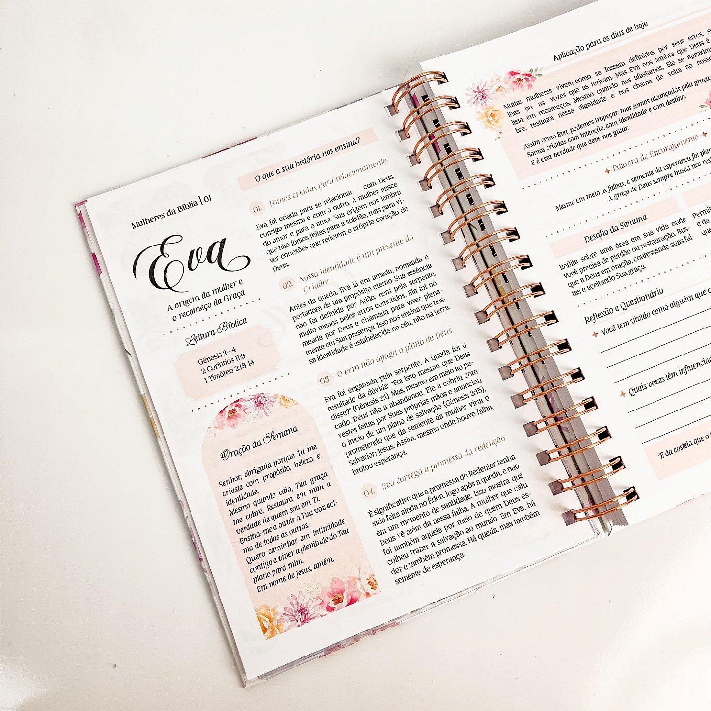 Devocional Mulheres da Bíblia