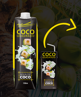 Água de Coco - Coco Quadrado 200ml Tradicional (Caixa com 27 unidades) -  FASTHE