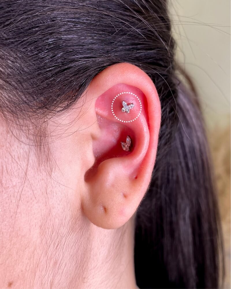 piercing-labret-borboleta-titanio-alternative-piercing