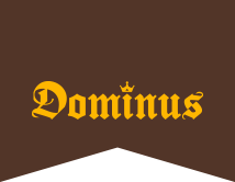 Dominus Química
