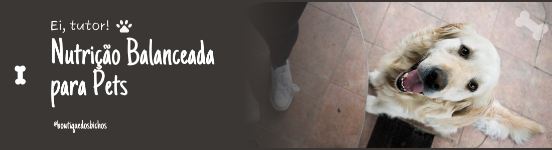 Nutrição Balanceada para Pet