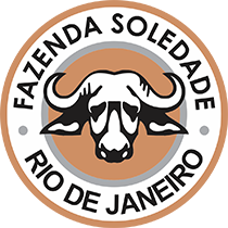 Soledade