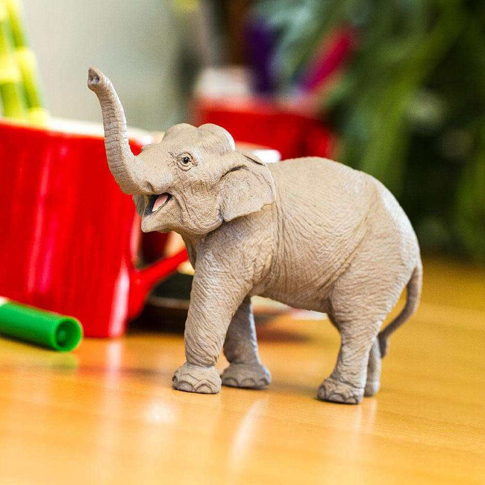 Figura Elefante Asiático Safari Ltd. - 08 anos! Loja on-line