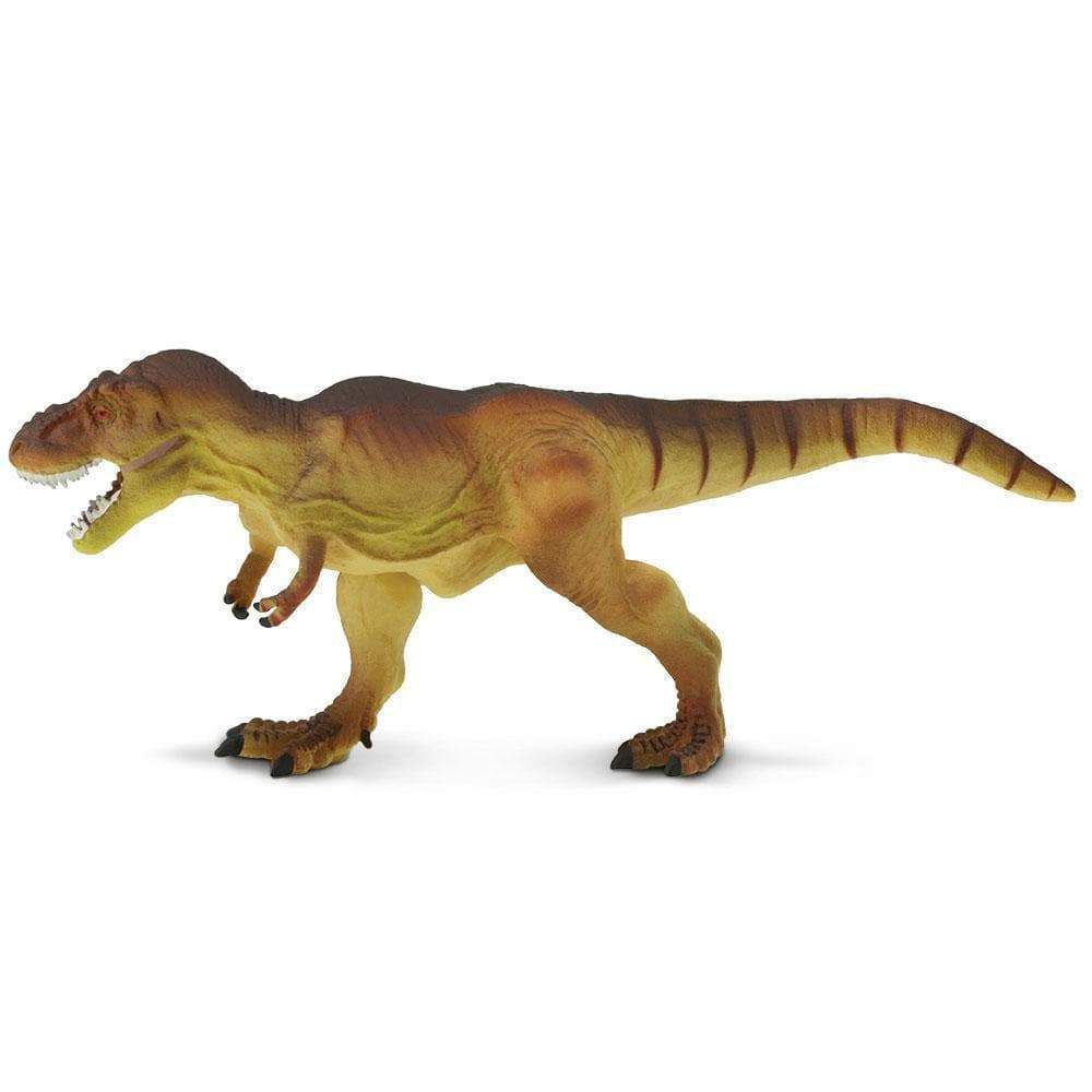 Figura Tyrannosaurus Rex Safari Ltd. - 08 anos! Loja on-line