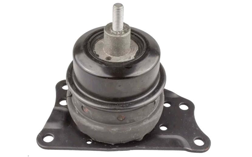 cocochan Coxim do Motor (Redondo) | Chana Picape e Van | pecahoje.com.br