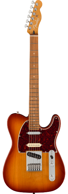 完璧わいふによる Mexican Fender Guitarra Player Sienna Tele Nashville Plus ギター