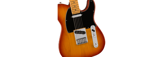 Guitarra Fender Mexican Player Plus Tele Sienna Sunburst - Home