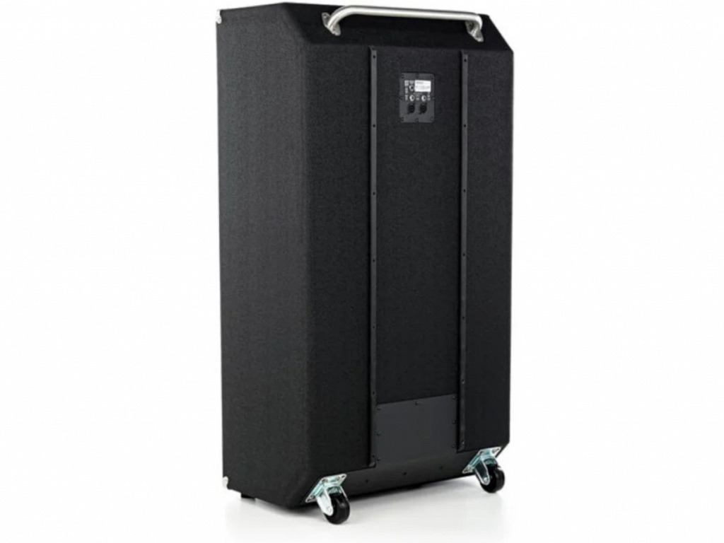 AMPEG CX ACUST BAIXO SVT810ED 8X10 - Home