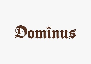 Dominus Química