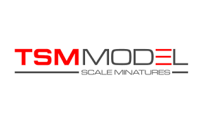 TSM Model