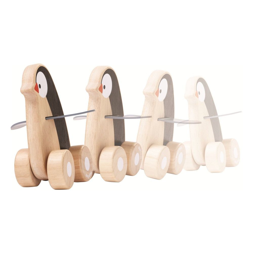 Pinguim Aventureiro