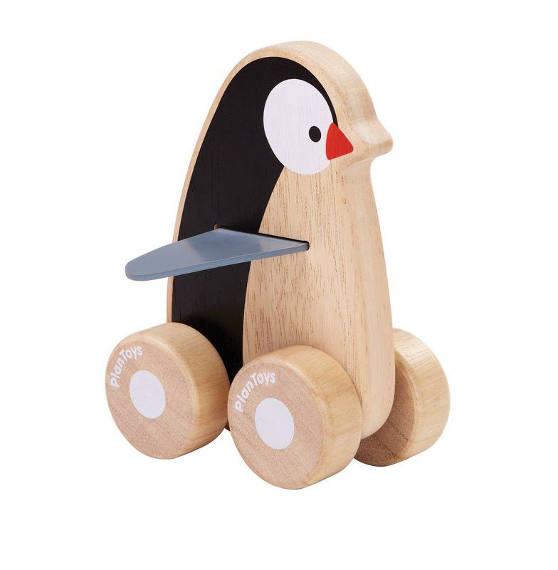 Pinguim Aventureiro