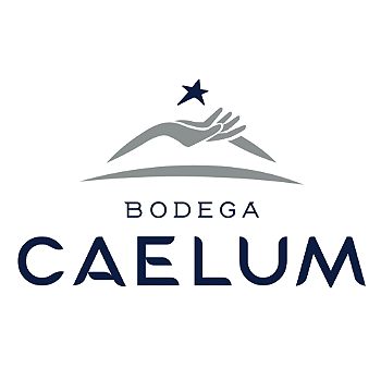 BODEGA CAELUM